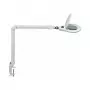MAUL LED loeplamp Source dimbaar wit