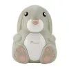 Momini compressorvernevelaar NebuBunny