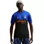 Nike Inter Milan 2025/2026 Stadium Special Edition heren voetbalshirt zwart/blauw IM6998 413 maat L