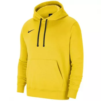 Nike Park 20 hoodie Universiteitsgoud/zwart CW6957 719