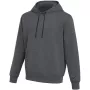 Nike Park 26 Fleece heren hoodie Dark Grey Heather XS