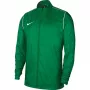 Nike RPL Park 20 RN JKT W herenjas groen BV6881 302 XL