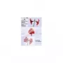 Olympia 9178 lamineerhoezen A6, 125 micron, transparant, 100 stuks