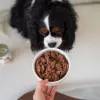 Paka Zwierzaka Pepe natvoer voor honden hert 400g