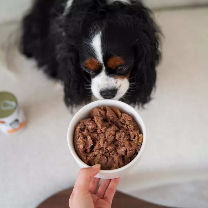 Paka Zwierzaka Pepe natvoer voor honden hert 400g