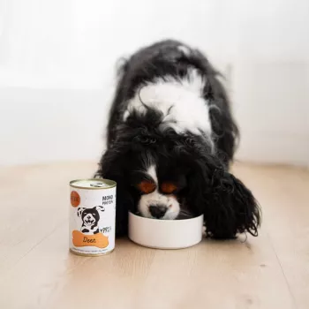 Paka Zwierzaka Pepe natvoer voor honden hert 400g