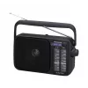 Panasonic RF-2400DEG-K draagbare analoge AM/FM-radio - zwart