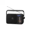 Panasonic RF-2400DEG-K draagbare analoge AM/FM-radio - zwart