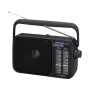 Panasonic RF-2400DEG-K draagbare analoge AM/FM-radio - zwart