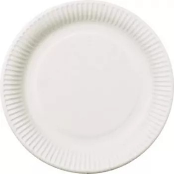 PAPSTAR pure wegwerpborden rond 26 cm extra sterk wit suikerriet-bagasse 50 stuks 11176