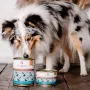 PERRO rundvlees met peterseliewortel natvoer voor honden 850g