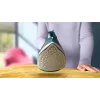 Philips DST2030/90 Strijkijzer - 2000W, Antiaanbakzool, 270ml Tank