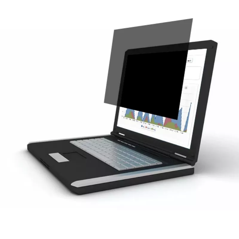 Port Connect 2D 4/3 Professional privacyfilter 13.3