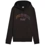 PUMA Essentials+ Logo LAB heren fleece hoodie zwart maat M