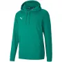 PUMA teamGOAL 23 Casuals hoody green glimmer heren maat S