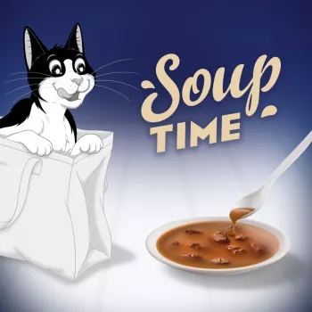 PURINA FELIX Soup ORIGINAL vis smaken 6x48g