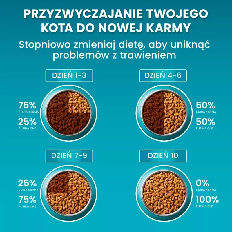 Purina ONE Sensitive Turkey & Rice droogvoer voor katten 750g