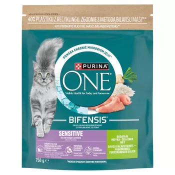 Purina ONE Sensitive Turkey & Rice droogvoer voor katten 750g