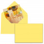 Inapa tecno Colors B6 Enveloppen Geel, 80 g/m², 25 stuks, 2100019152