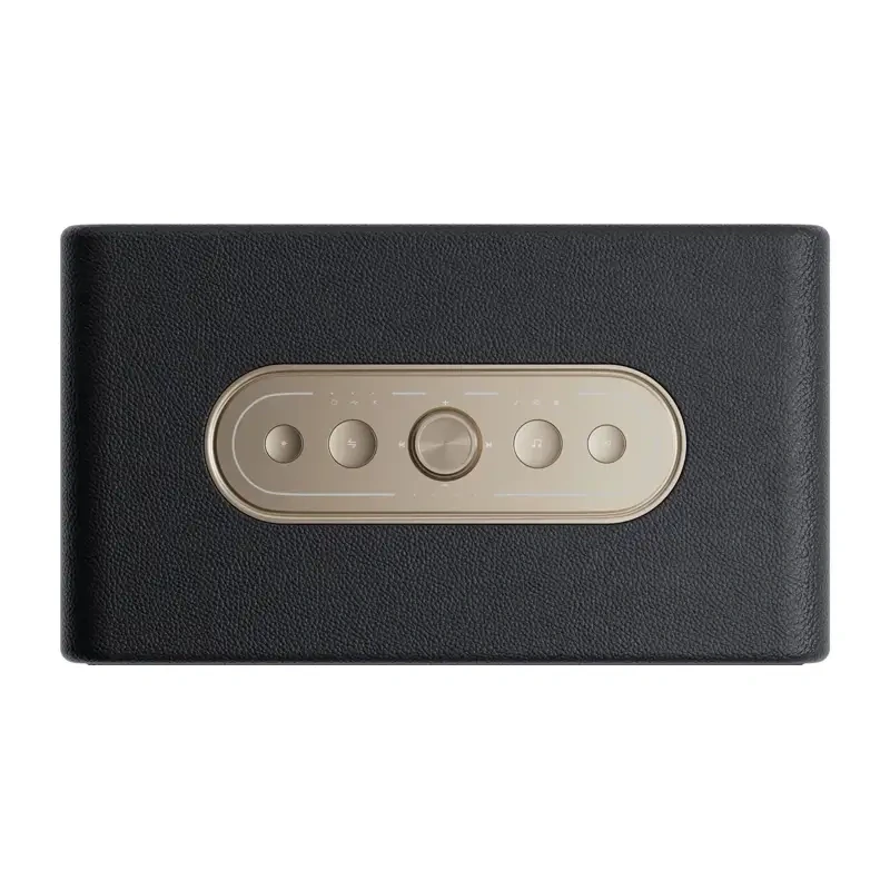 QCY SP300 draadloze speaker (zwart)