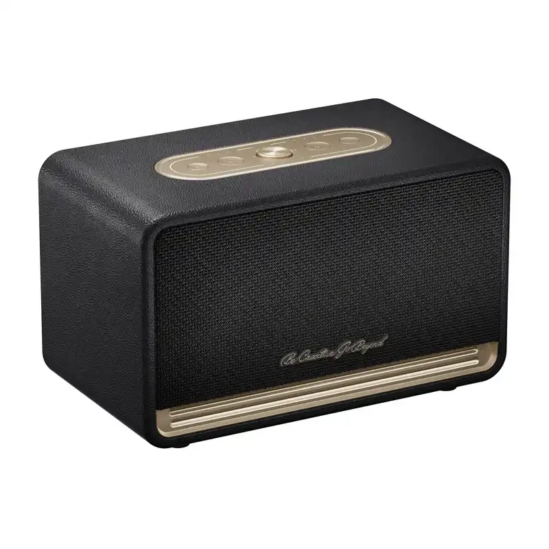 QCY SP300 draadloze speaker (zwart)