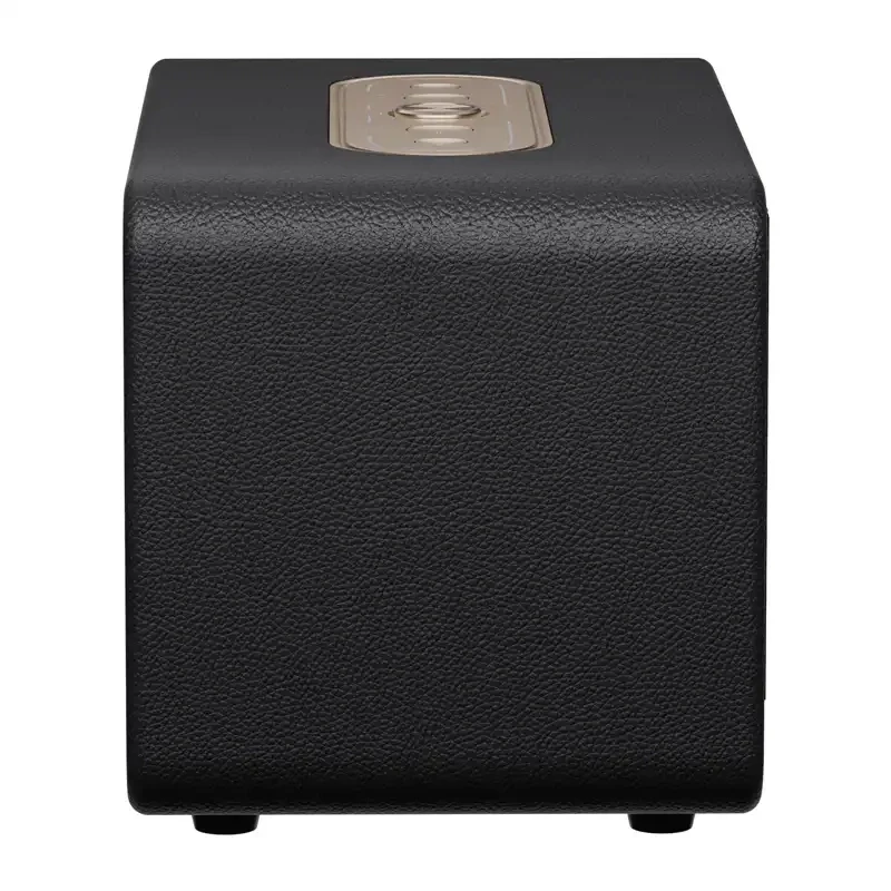 QCY SP300 draadloze speaker (zwart)