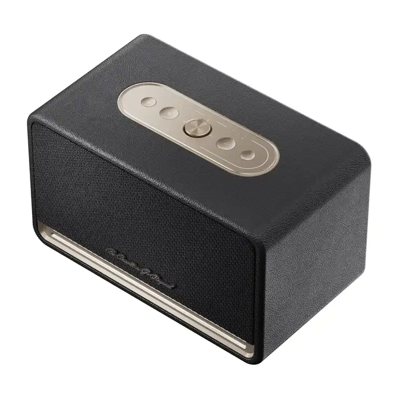 QCY SP300 draadloze speaker (zwart)