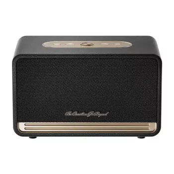QCY SP300 draadloze speaker (zwart)