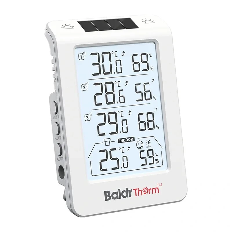 RAINPOINT BALDRTHERM B0598 3-kanaals thermo-hygrometer met automatische achtergrondverlichting
