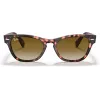 Ray-Ban Frank Square zonnebril RB2201 133451 54/17/145 mm
