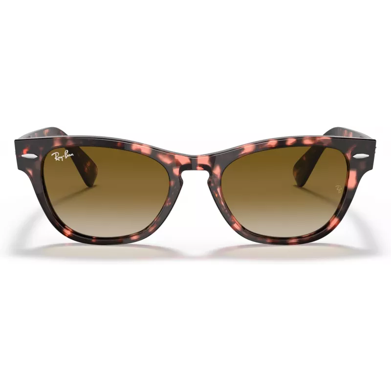 Ray-Ban Frank Square zonnebril RB2201 133451 54/17/145 mm