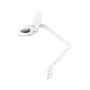 REBEL inspectielamp met loep 5D 8W (60 SMD) - wit