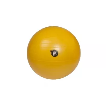 REHA FUND PILO-1045 revalidatiebal ABS 65 cm zilver/grijs