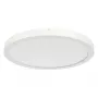 RIDI SARA290 Renovatie-downlight D=290mm 830/840