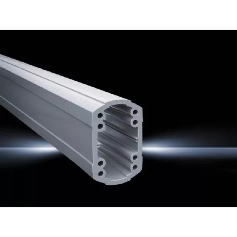 Rittal draagprofiel System120 CP 6212.100 1000 x 75 x 120 mm aluminium lichtgrijs