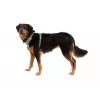Ruffwear Front Range tuig XS - River Rock Green