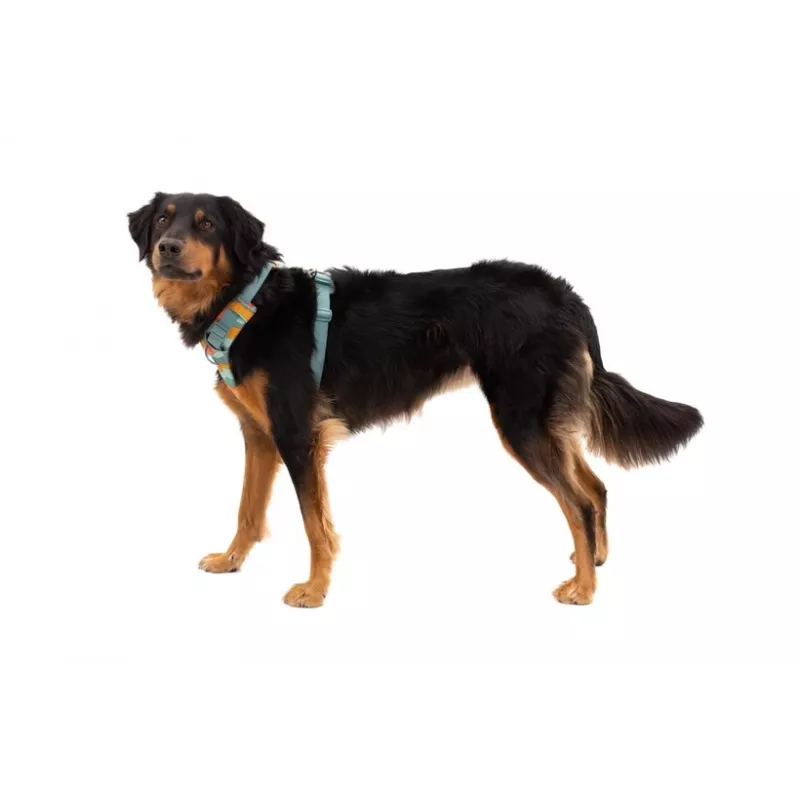 Ruffwear Front Range tuig XS - River Rock Green