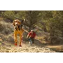 Ruffwear Grip Trex hondenschoenen - Obsidian Black, XS (paar)