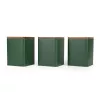 Salter BW12898G Toronto 3-delige voorraaddozen set, groen