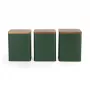 Salter BW12898G Toronto 3-delige voorraaddozen set, groen