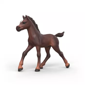 Schleich Horse Club verzamelveulen Ravi