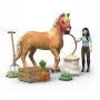 Schleich Horse Club Emilys verzorgingsset