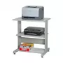 SECOMP Roline printerstandaard op wielen, grijs/wit/lichtgrijs, 2 plateaus, 500x400x600 mm 17.01.1089