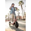 Segway Ninebot eKickscooter D38E zwart rood