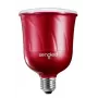 Sengled Pulse Master rood