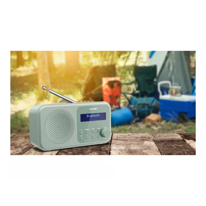 Sharp Tokyo DR-P420(GN) Draagbare DAB+/FM-radio, Bluetooth 5.0, Aquamarine Green