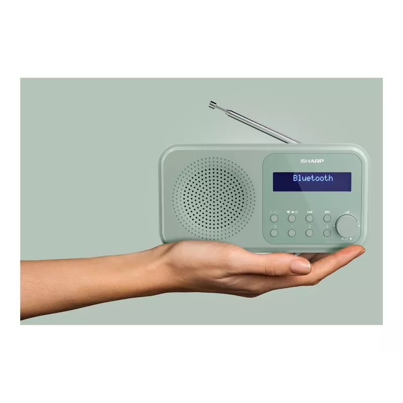 Sharp Tokyo DR-P420(GN) Draagbare DAB+/FM-radio, Bluetooth 5.0, Aquamarine Green