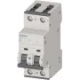 SIEMENS 5SY62066 installatieautomaat 2-polig 6A B-karakteristiek 6kA DIN-rail