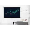 Spacetronik 100 inch handmatig uittrekbaar projectiescherm 16:9