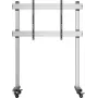 SpeaKa Professional SP-DS-200 tv-rolwagen voor 70-120 inch displays met diefstalbeveiliging, 150 kg